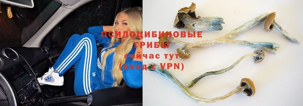 MDMA Premium VHQ Аша