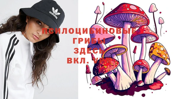 тгк Магадан