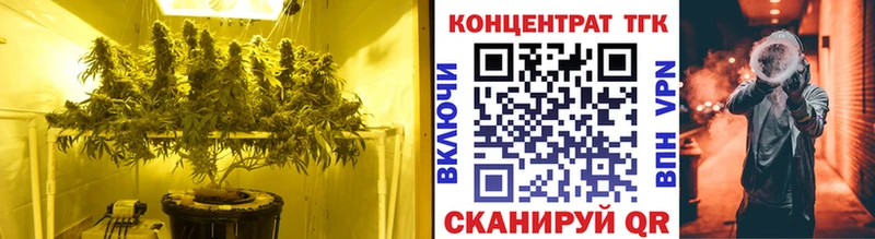 где купить Избербаш Дистиллят ТГК THC oil
