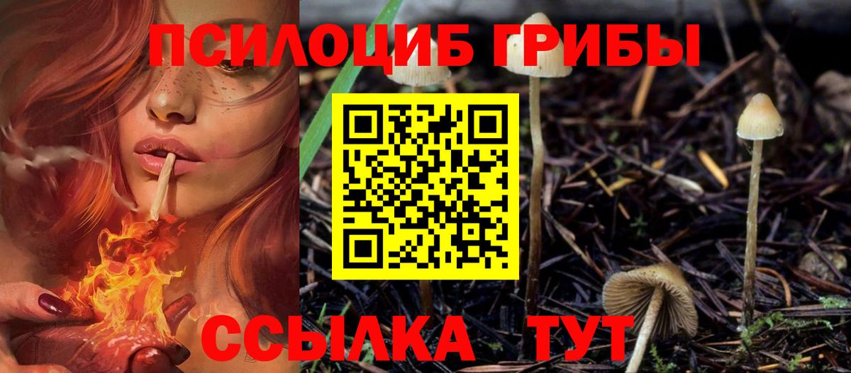 Галлюциногенные грибы мицелий  Вход с VPN  Избербаш 