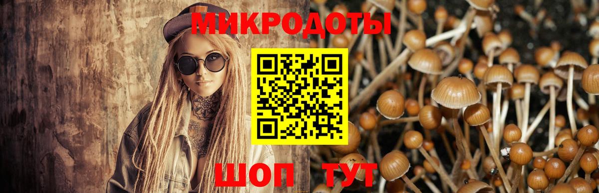Галлюциногенные грибы мицелий Избербаш